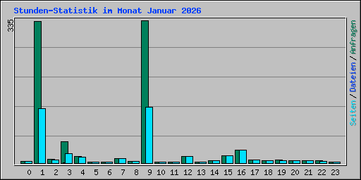 Stunden-Statistik im Monat Januar 2026
